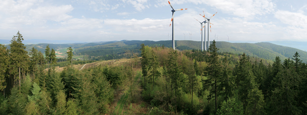 Windenergieanlagen im Wald © Michael Papenberg