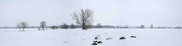 Winterlandschaft © Michael Papenberg