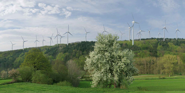 Windenergieanlagen im Wald - Fotomontage © Michael Papenberg