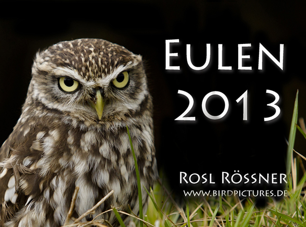 Eulenkalender 2013 © Rosl Rößner