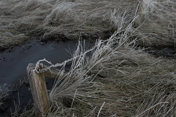 Stacheldrahtzaun im Schutzgebiet © Onno K. Gent