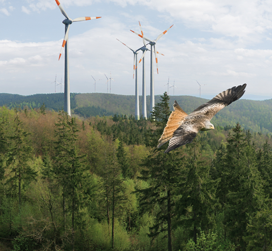 Windenergieanlagen © EGE