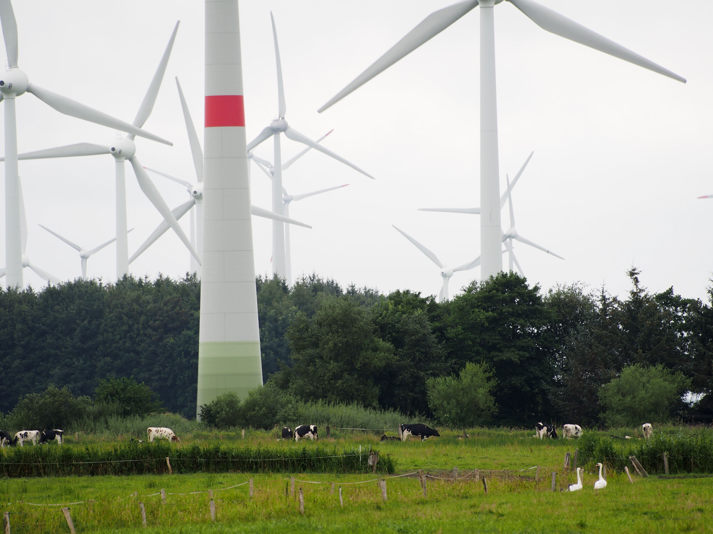 Windenergieanlagen © Manfred Knake
