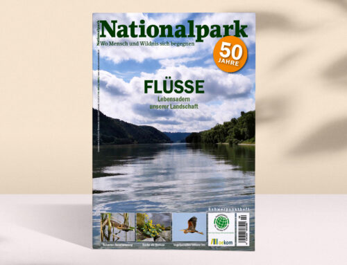 Neue Ausgabe von „Nationalpark“ erschienen