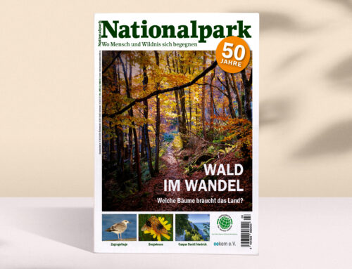 Neue Ausgabe von „Nationalpark“ erschienen