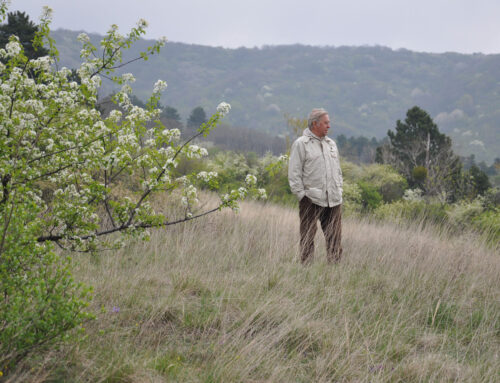 Zum Tode von Hans Bibelriether (17.03.1933 – 18.02.2025)