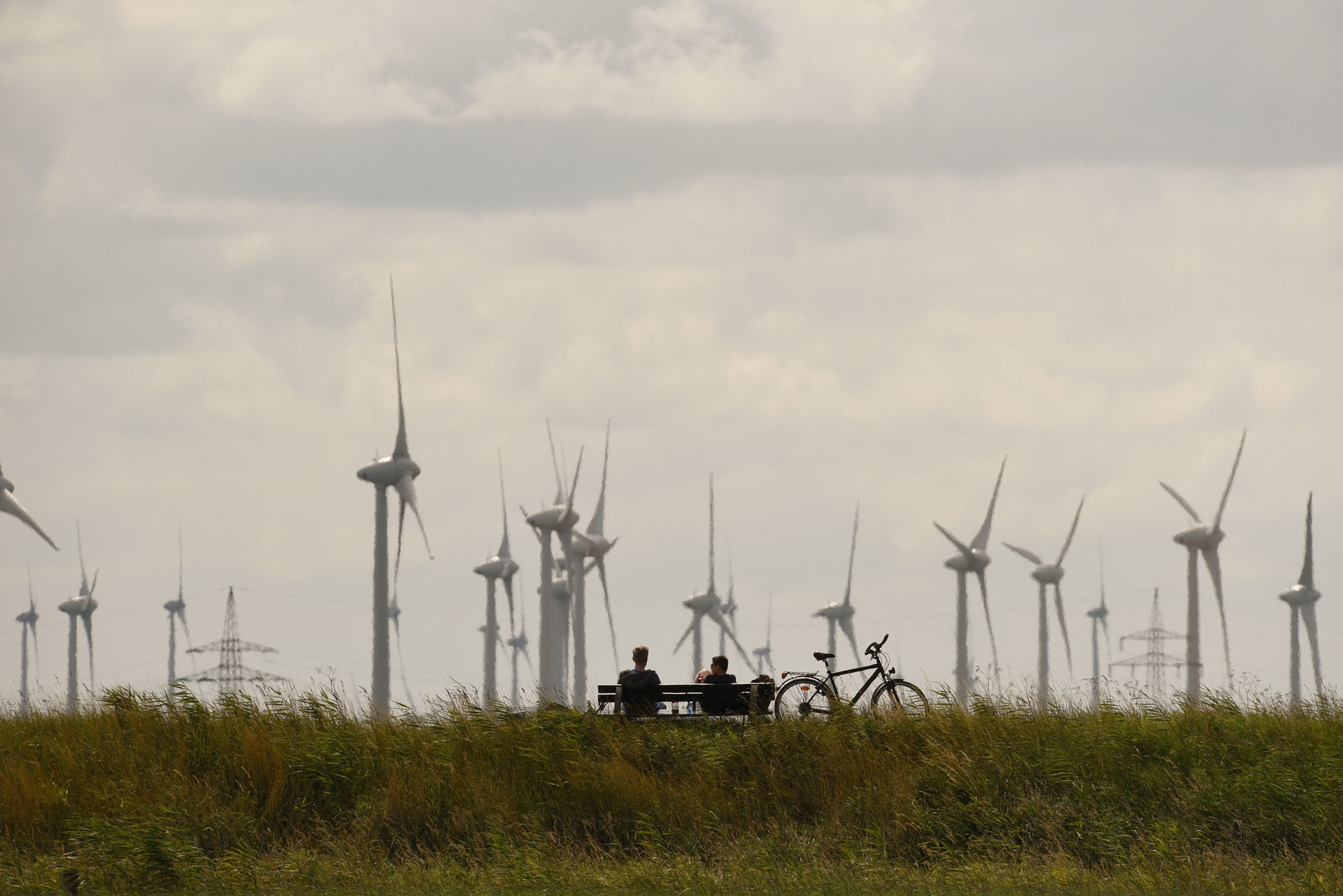 Windpark am Meer © Eilert Voß