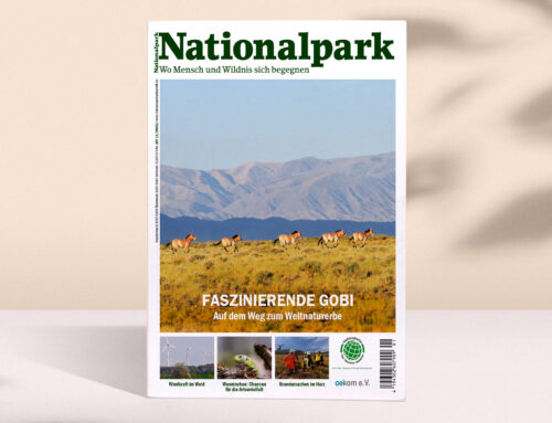 Neue Ausgabe von Nationalpark erschienen