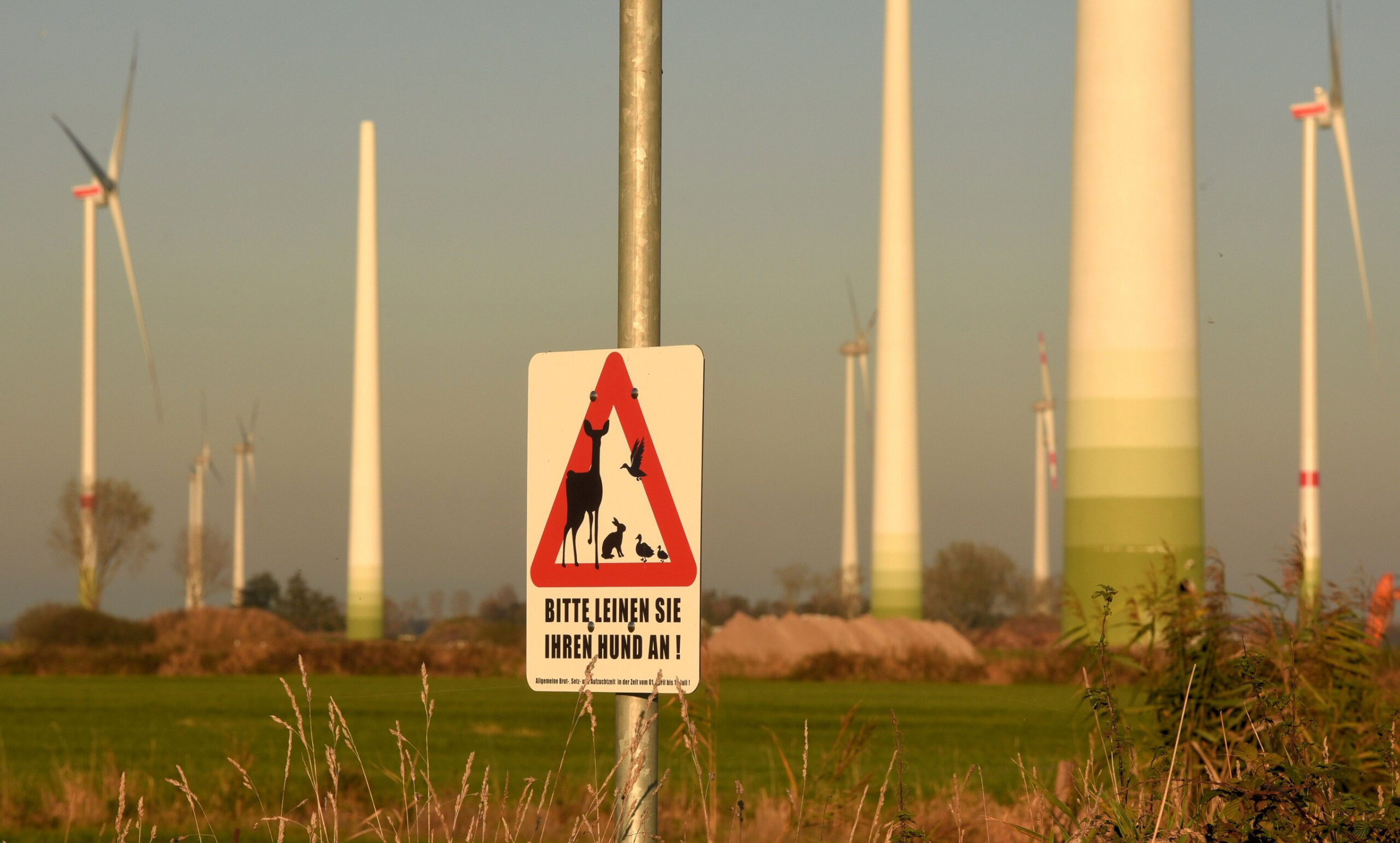 Windenergiepark im Bau © Eilert Voß