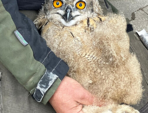 Glück im Unglück