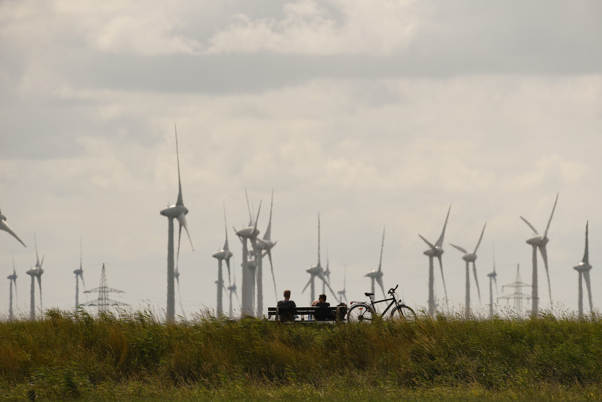 Windpark am Meer © Eilert Voß