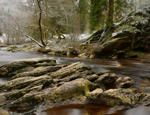 Deutschland im Herbst der Reformen