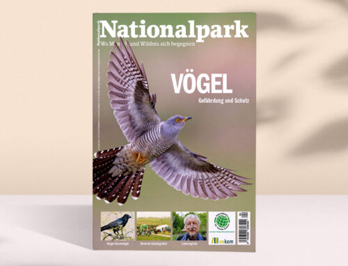 Neue Ausgabe von Nationalpark erschienen