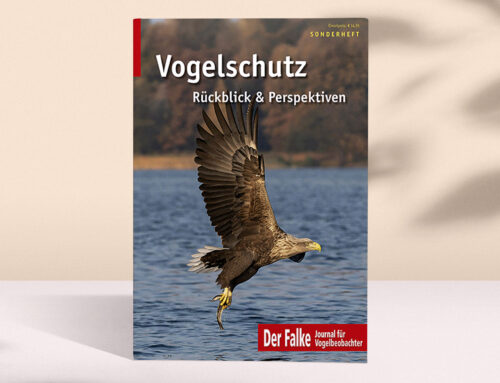 Sonderheft Vogelschutz erschienen