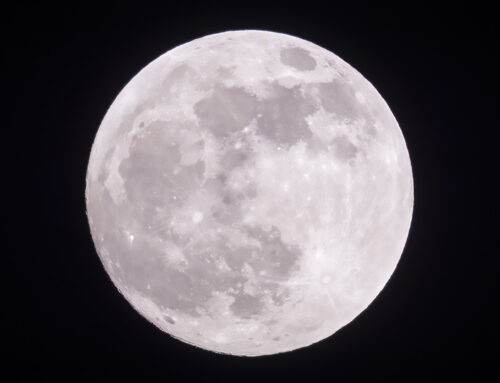 Bemerkenswerter Wiederfund