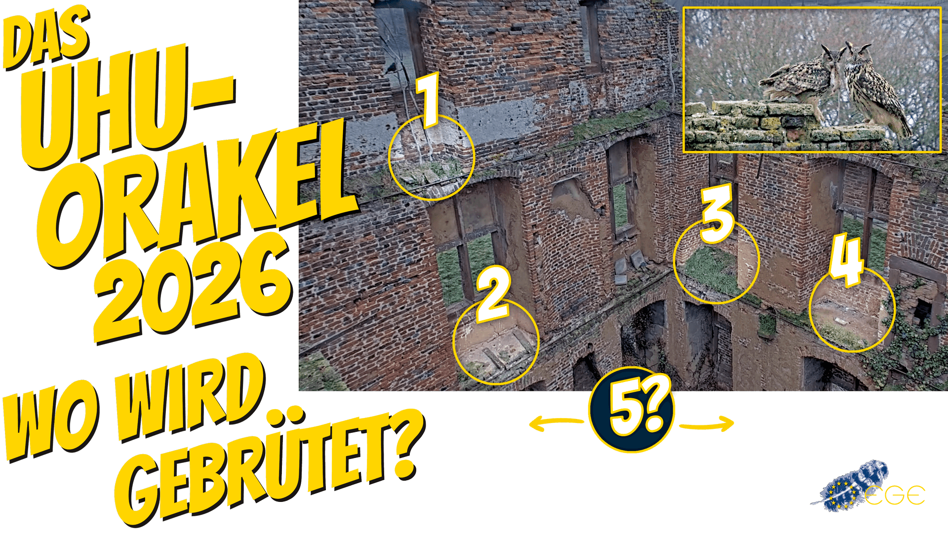 Dein Tipp für den Nistplatz von Tristan und Isolde: Wo wird das Uhu-Paar 2026 brüten? Dein Tipp für den Nistplatz von Tristan und Isolde: Wo wird das Uhu-Paar 2026 brüten?