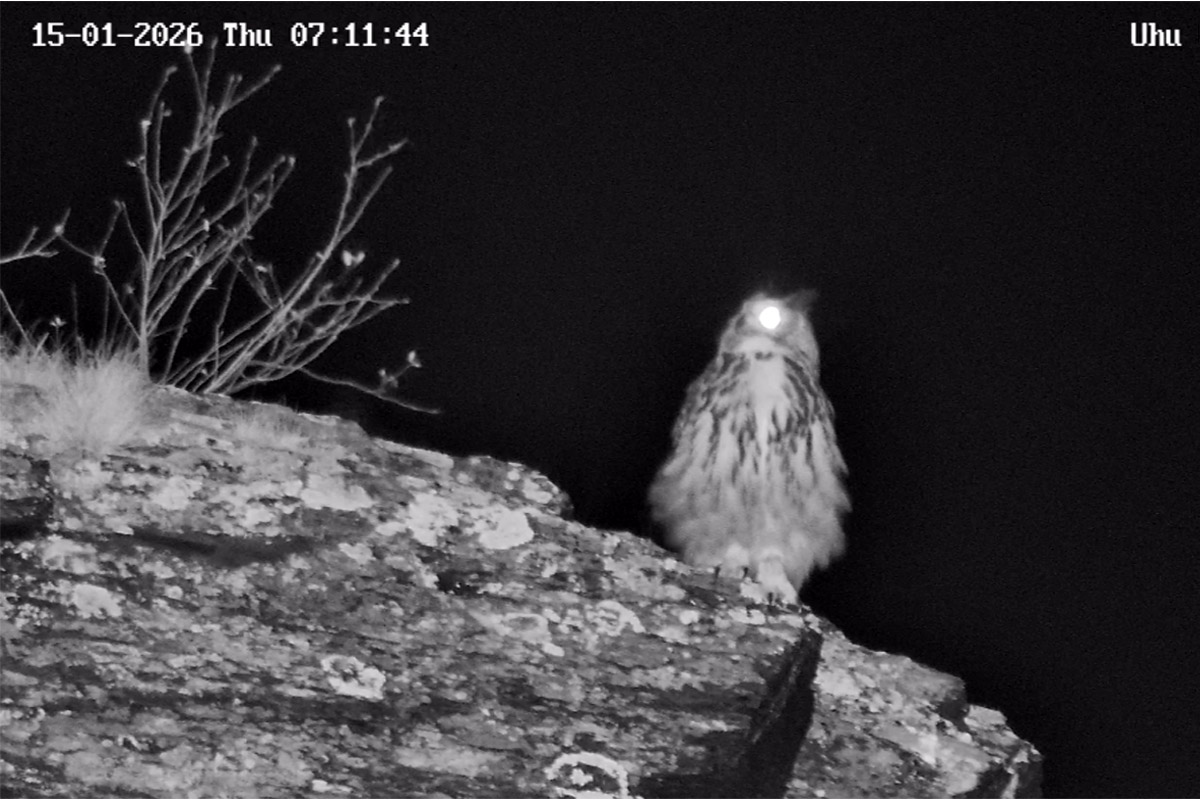 Leo und Lotte im Ahrtal