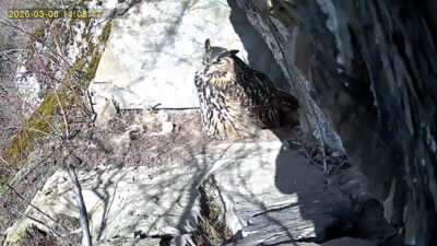 20260305_140818_000_10_P