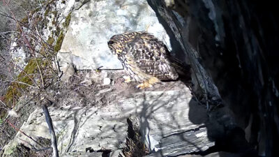 20260305_142212_000_10_P