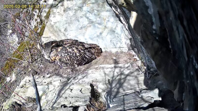 20260305_143706_000_10_P