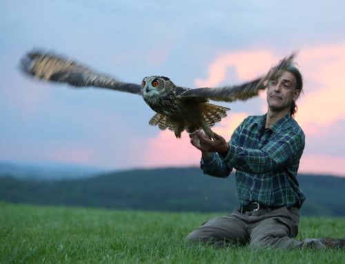 Uhus in der Sendung mit der Maus