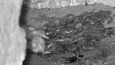 Bildschirmfoto-2026-03-20-um-07.18.57