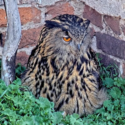 Bildschirmfoto-2026-04-10-um-08.46.46