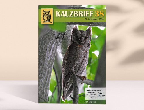 Kauzbrief-Ausgabe 38 erschienen