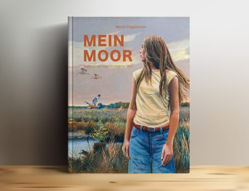 Mein Moor