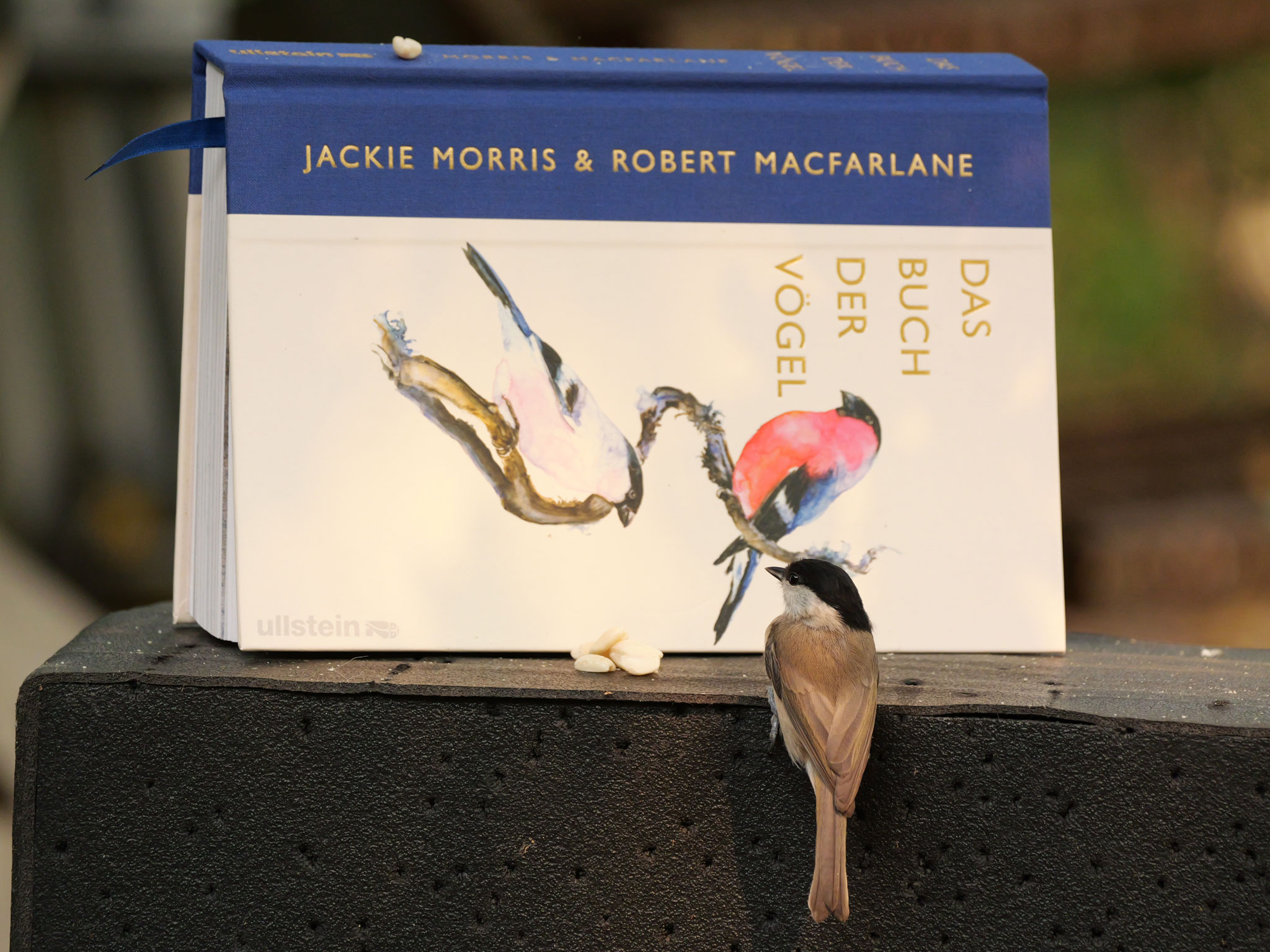 Buchcover © Andrea Caviezel