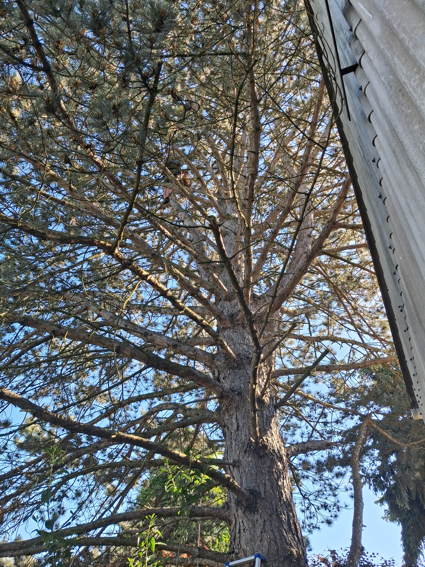 20260525_165944